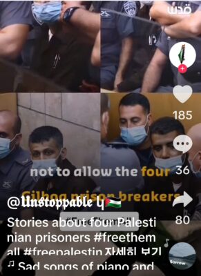 팔레스타인 수감자 동영상